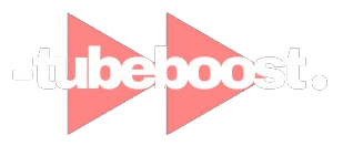 TubeBoost | Llevamos tu canal al siguiente nivel